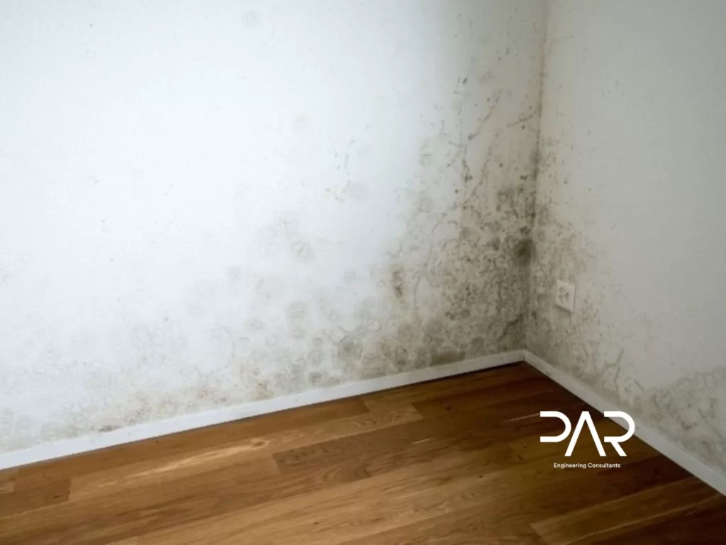 Peritagem a casas - Condensações superficiais em paredes interiores