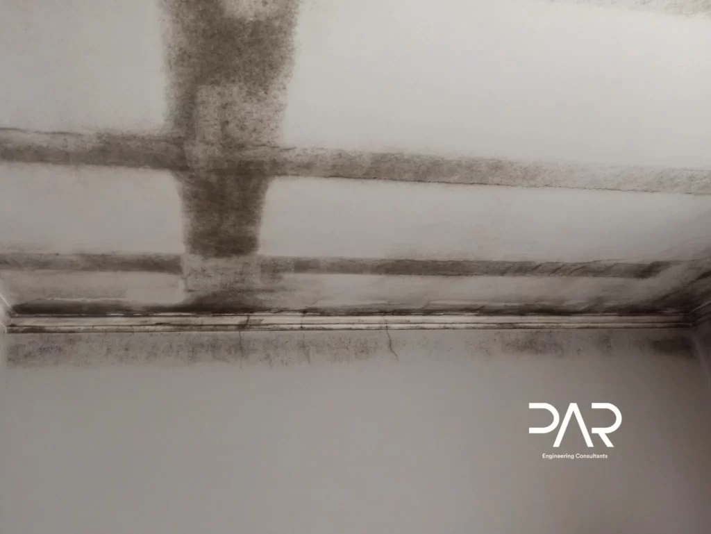 Peritagem a casas - Condensações superficiais em paredes interiores