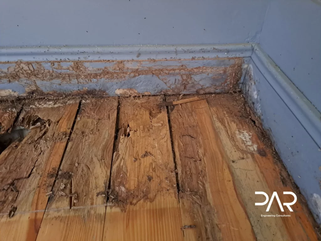 Térmitas na construção