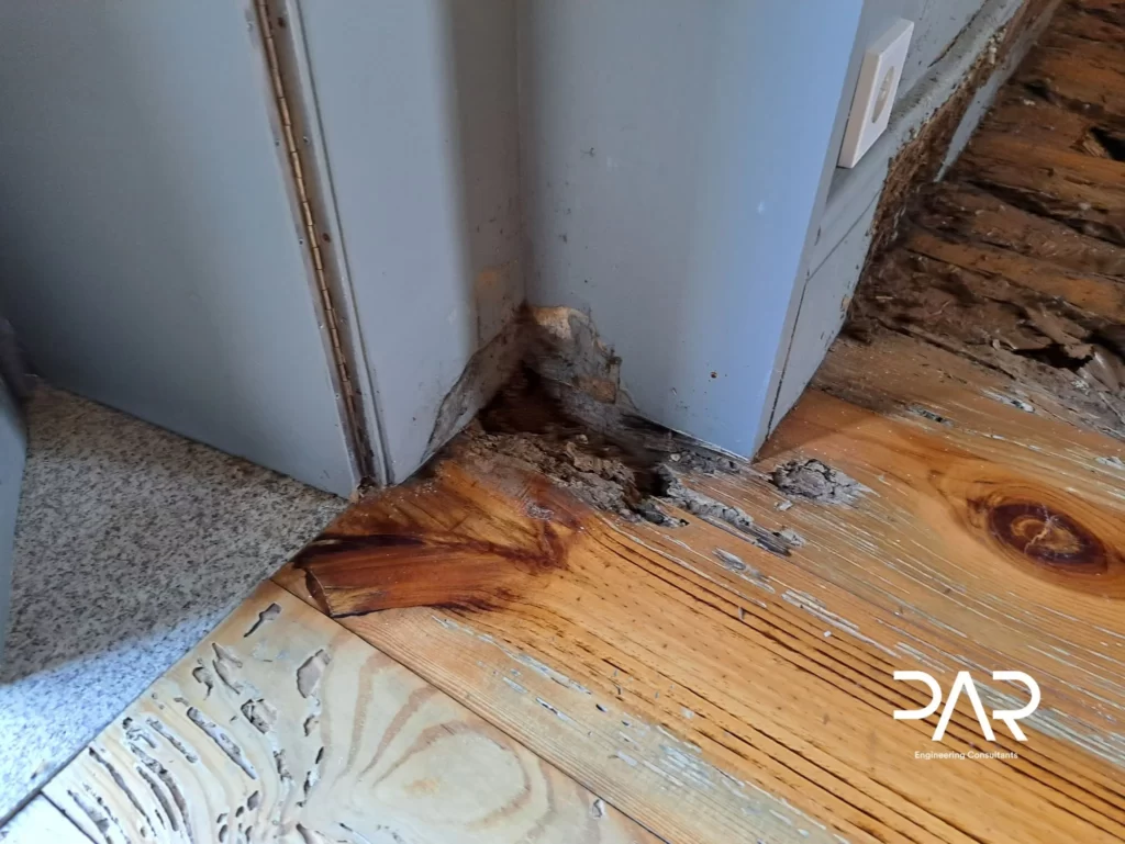 Térmitas na construção